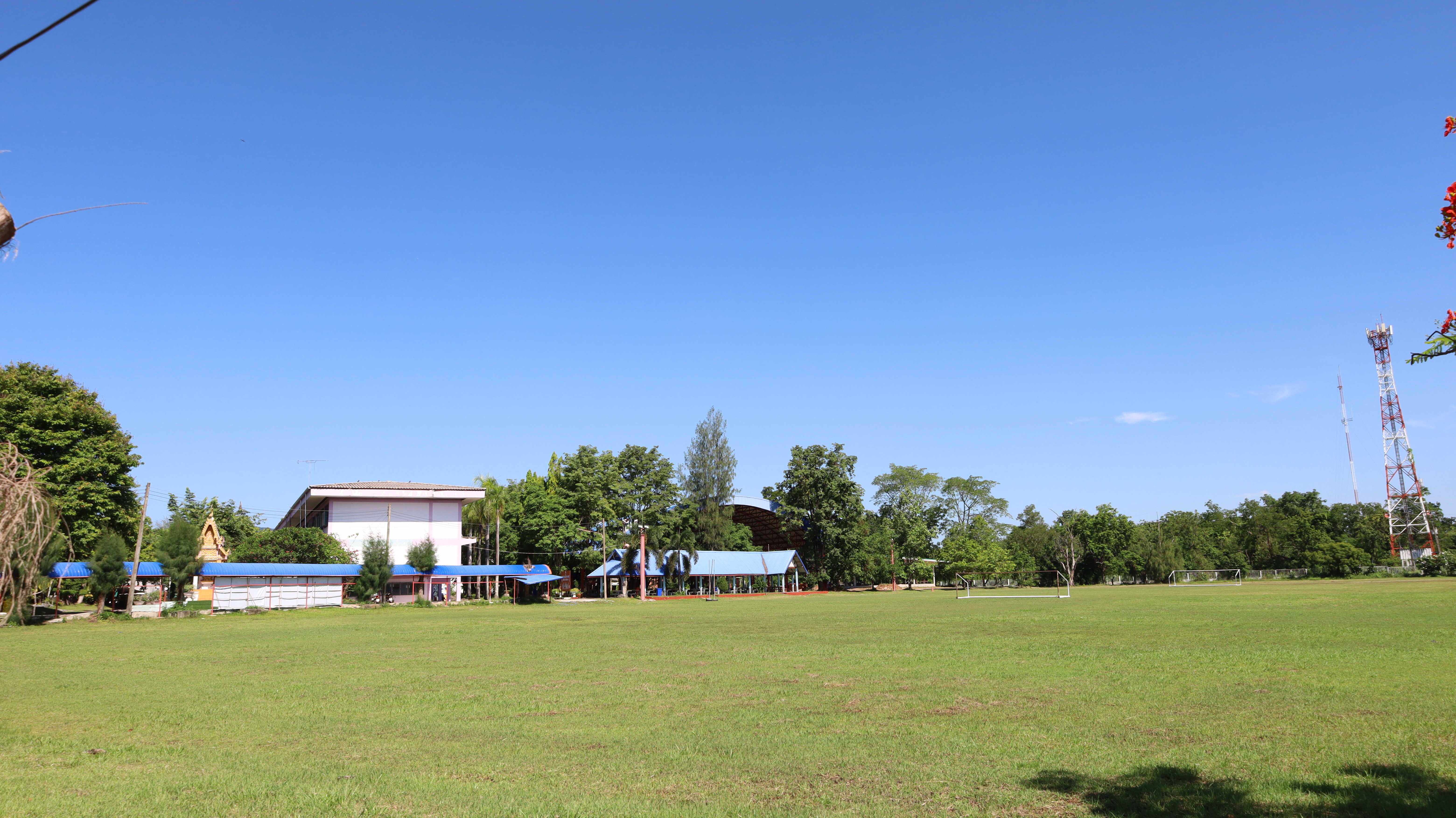 สนามกีฬาบอล